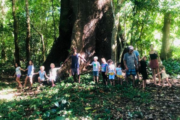 jungle cats jungle school (2)